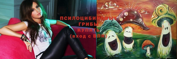 ГАЛЛЮЦИНОГЕННЫЕ ГРИБЫ Балабаново