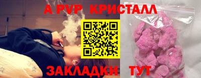 стаф Кинель