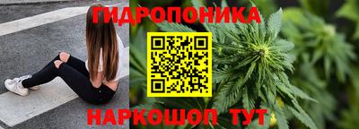 стаф Кинель