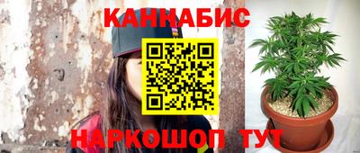 стаф Кинель