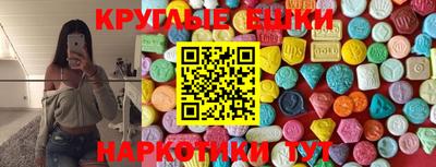стаф Кинель