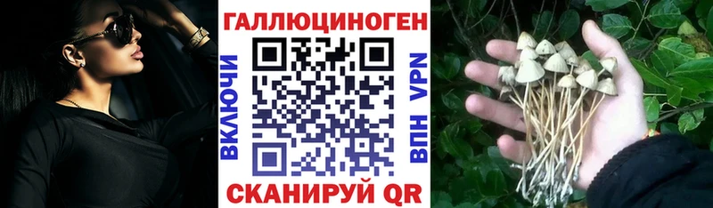 Псилоцибиновые грибы Cubensis  Корсаков 