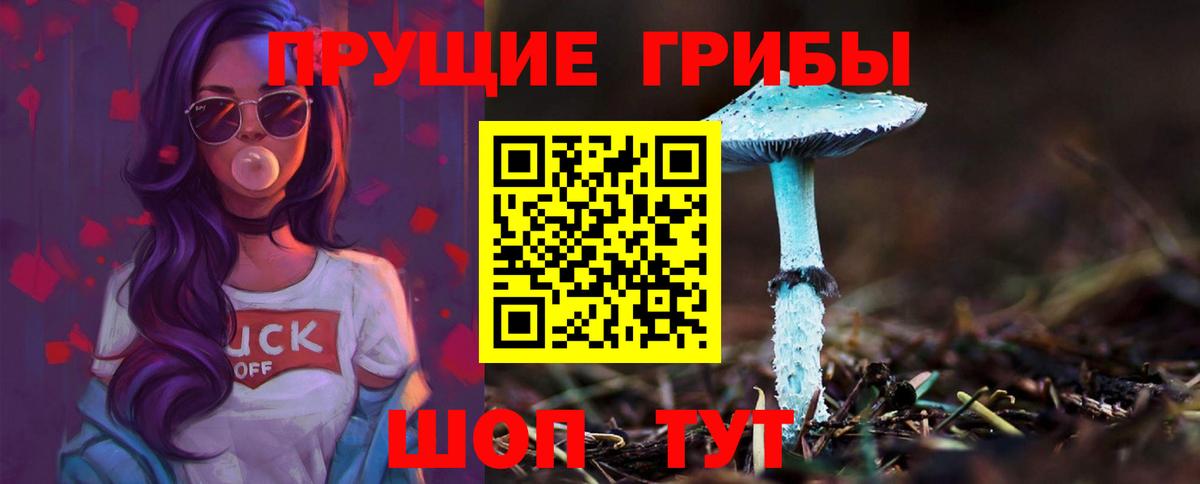 Галлюциногенные грибы прущие грибы  Вход с VPN  Галлюциногенные грибы Psilocybine cubensis  Корсаков 