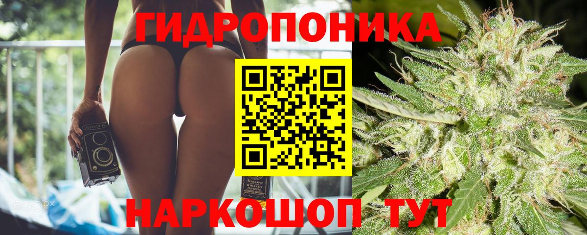 Бошки марихуана гибрид Корсаков